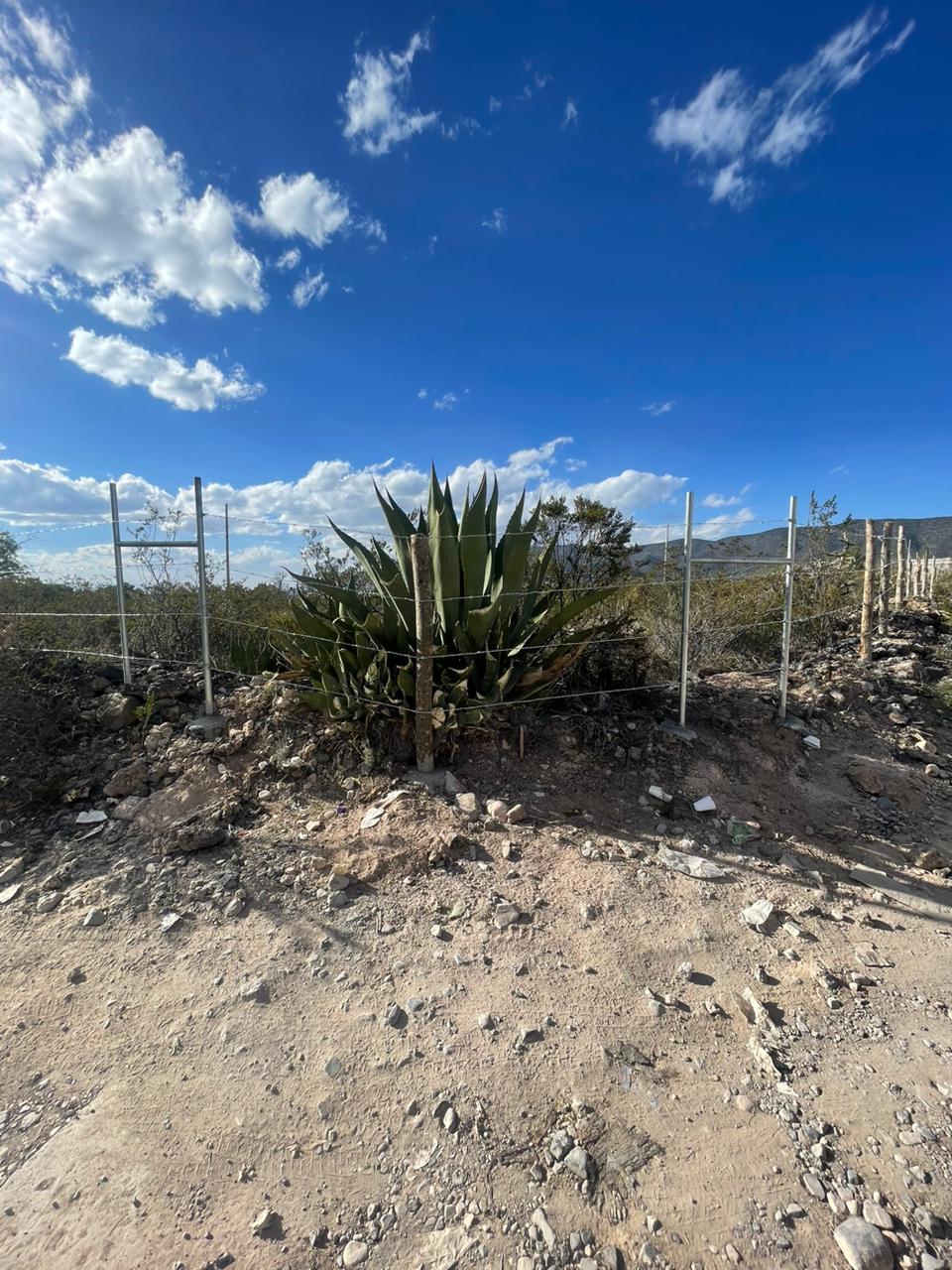 Instalación de alambre de púas en terreno