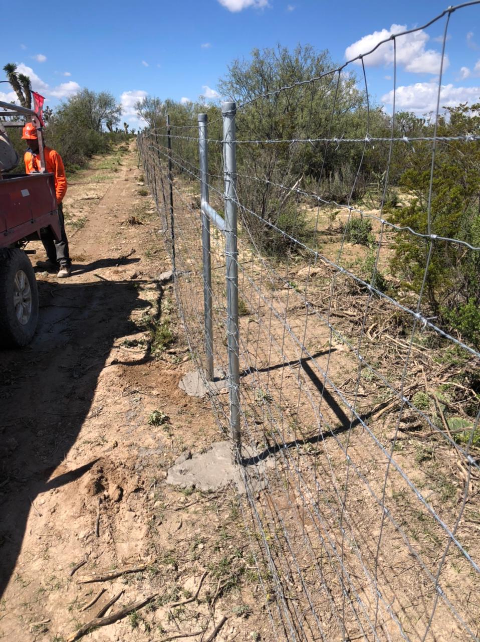 Malla borreguera en corral de ganado